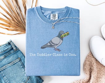 Toddler Teacher Pigeon t-shirt, Preschool Teacher Gift Tee, Daycare Toddler Teacher t-shirt, Childcare Provider Gift, Back to School Shirt