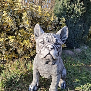 Op de afbeelding: Een grijs betonnen beeld van een Franse bulldog die op een bed van groen gras zit. De hond heeft een gerimpeld gezicht en kijkt recht in de camera.