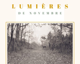 November Light and Deer- Digital Art Print by Eleonore