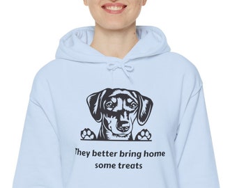 Dachshund Hooded Sweatshirt, Dachshund Sweatshirt, Dachshund gift, Weiner dog sweatshirt, dog treats, Dachshund  shirt