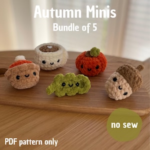 Könnte beinhalten: Eine Sammlung von fünf gehäkelten Mini-Figuren zum Thema Herbst, darunter ein Kürbis, eine Eichel und andere saisonale Formen. Die Figuren sind in Braun-, Orange- und Grüntönen gehalten und haben lächelnde Gesichter.