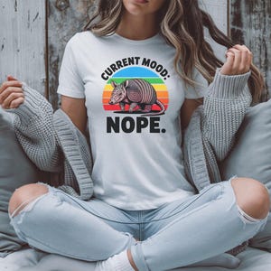 Armadillo T-Shirt, Retro Style, Animal Graphic Tee, Unique Design, Colorful T-Shirts, Cool Gifts, Armadillo Lover Gift