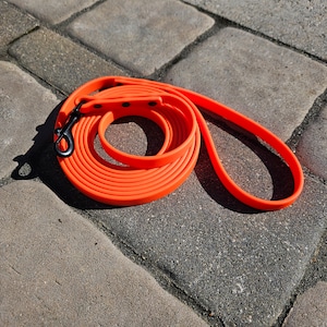 May include: Orange dog leash with a black metal clip. The leash is coiled up on a gray concrete surface.