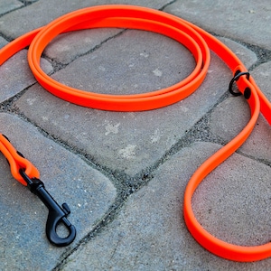 May include: A bright orange dog leash with a black metal clip. The leash is made of a durable, flexible material.