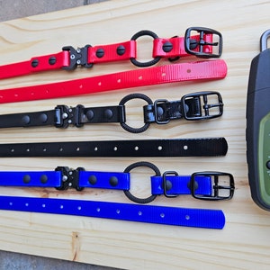 May include: Four dog collars in red, black, and blue with black metal buckles and a black metal ring. The collars are laid out on a wooden surface. A green Garmin Tri-Tronics remote collar transmitter is on the right side of the image.