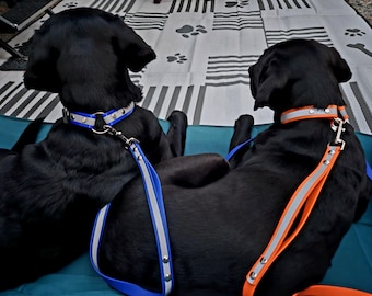 Reflective 4ft or 6ft Leash Made with 3/4 inch BioThane® Standard