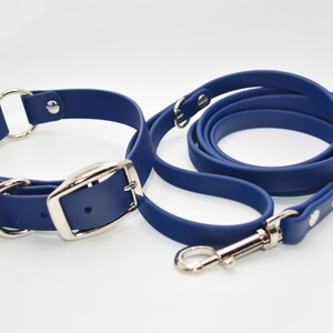 May include: A blue rubber dog collar and leash set with silver hardware. The collar has a buckle closure and a D-ring. The leash has a clip on one end and a loop on the other.