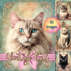 Puede incluir: Un collage de imágenes vintage con gatos en varias poses. Las imágenes están enmarcadas con bordes ornamentados y tienen una estética descolorida y antigua. El texto "Vintage Cats" se muestra en la parte inferior del collage.