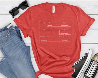 Funny Programmer Tee for Cat Lovers,Controls Engineer Gift Idea,Geeky Coding T-Shirt for Tech Engineer,Ladder Logic Teeshirt for Techy Nerd