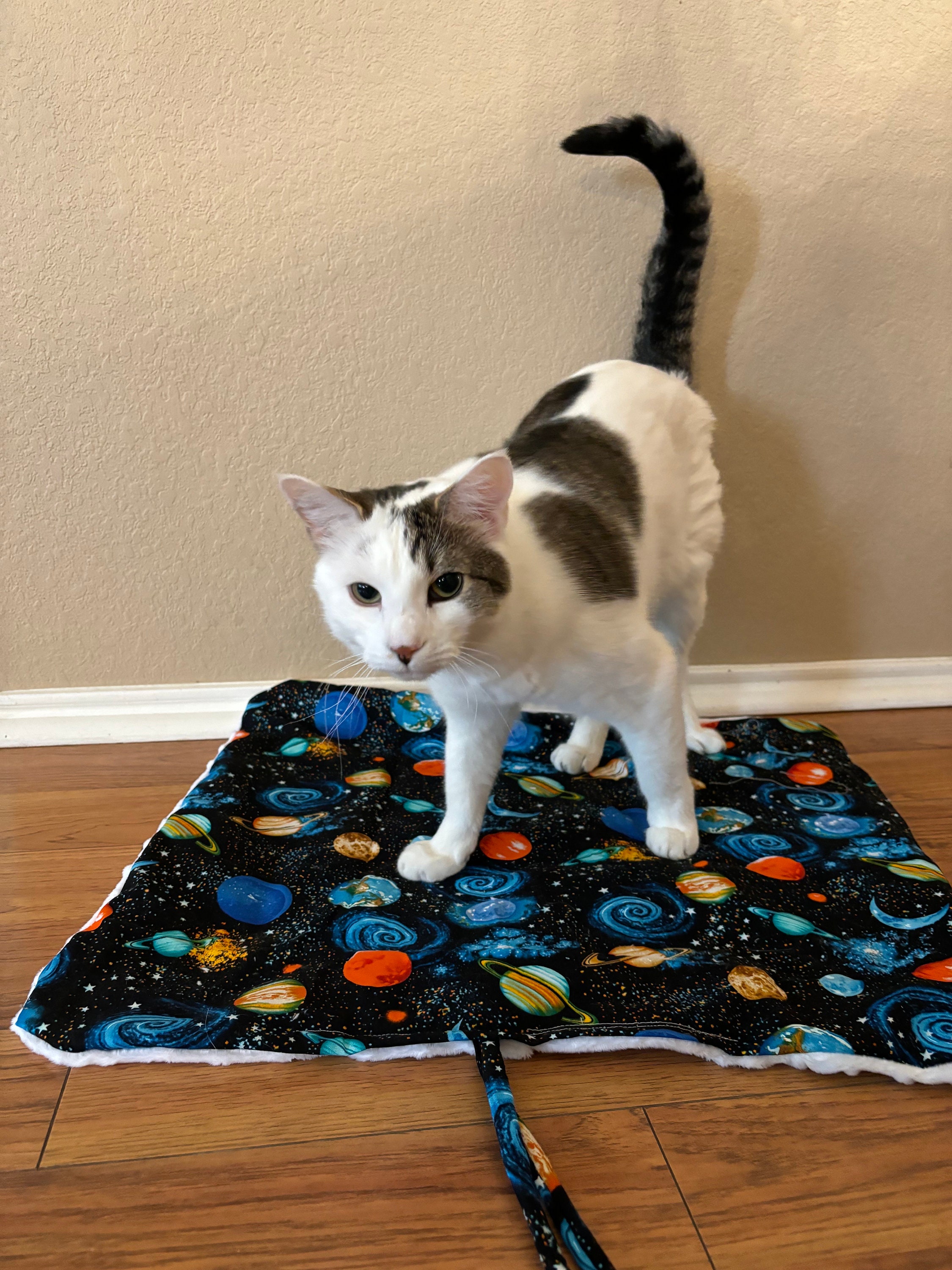 Cat Toy Crinkle Mat Cat Bed With Catnip silvervine Etsy