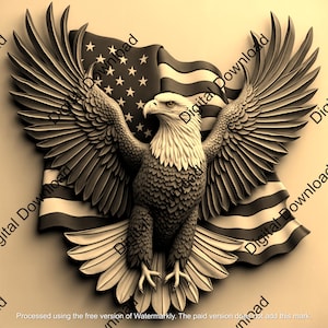3D Laser Engraving | Bald Eagle with U.S. Flag | PNG digital download