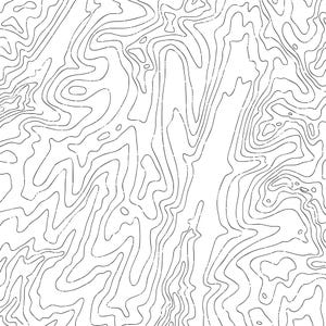 May include: Abstract black and white line art pattern with a topographic map style design.