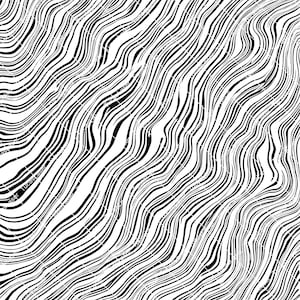 May include: Abstract black and white wavy lines pattern. The lines are thin and create a flowing, organic design.