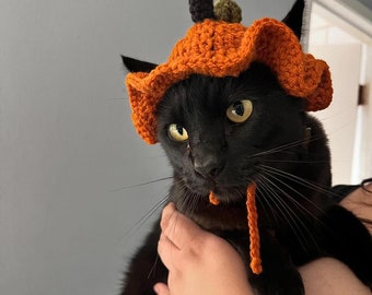 Pumpkin Cat hat - Crochet pet hat
