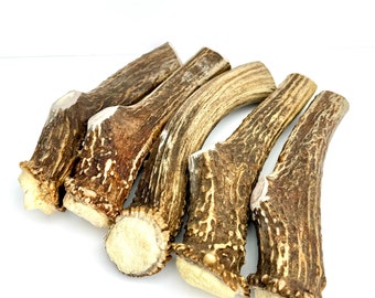 Free shipping - 5 pack- Jumbo Antler Chew