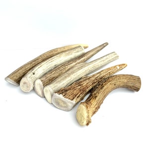 XL Deer Antler Dog Chews – 5 Pack | 5–7” Natural  Chews for Medium & Large Dogs | Long-Lasting, Odor-Free Treat