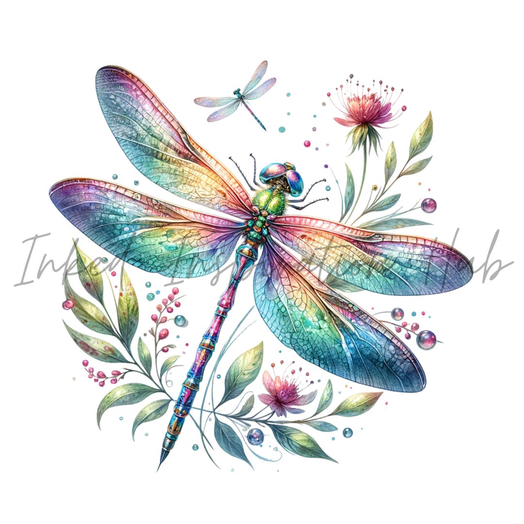 Watercolor Dragonfly PNG Clipart: Floral Insect Designs (digital ...