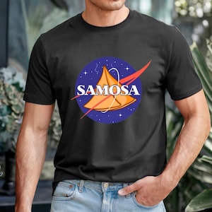 Samosa Graphic Tee, Desi cotton t-shirt, casual unisex Indian streetwear