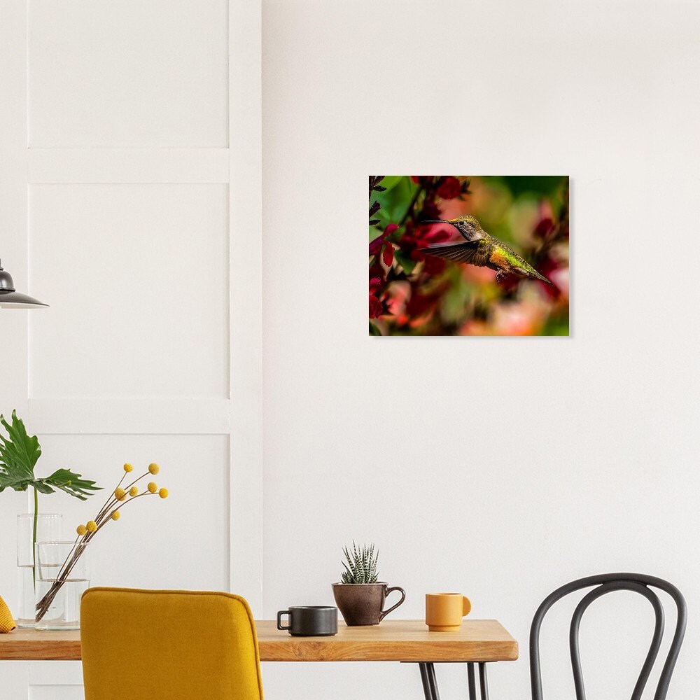 Hummingbird Freeze Frame - Etsy