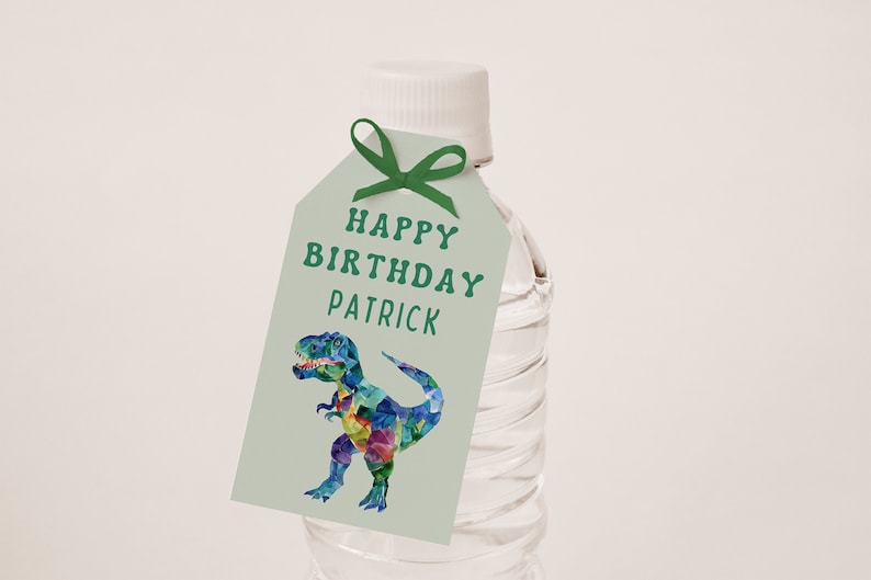 May include: A green and white gift tag with a colourful dinosaur illustration and the text "Happy Birthday Patrick".