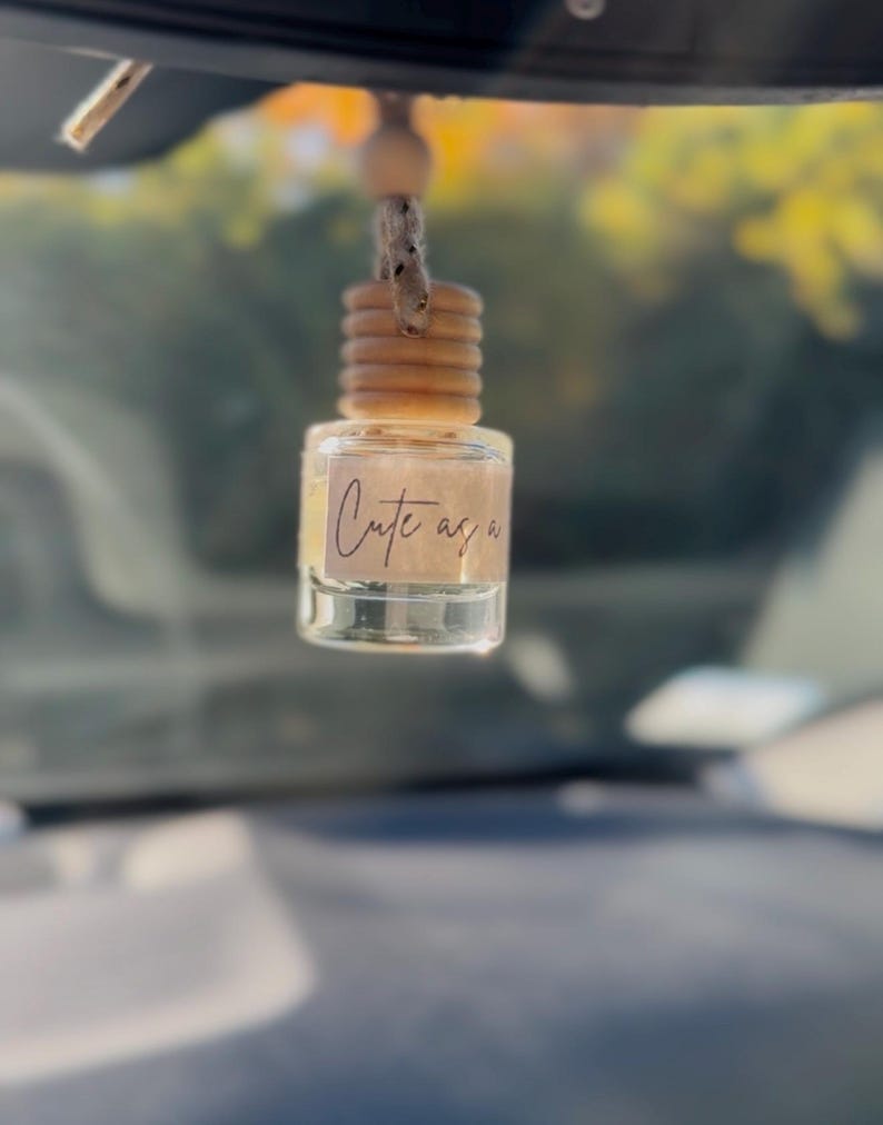 Car Air Freshener Diffuser, Cute Scented Hanging Decor immagine 1