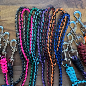 Paracord braided dog leash.