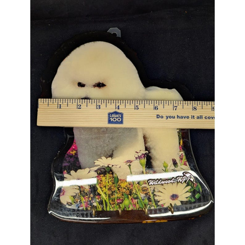 VTG Bichon Frse Wood Plaque Key Holder Wildwood NJ Souvenir New Old Stock immagine 9