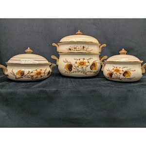 May include: A set of three cream-colored enamel pots with lids, featuring a decorative floral pattern in shades of brown and yellow. Each pot has two side handles and a gold-toned rim, showcasing a consistent design across all three pieces.
