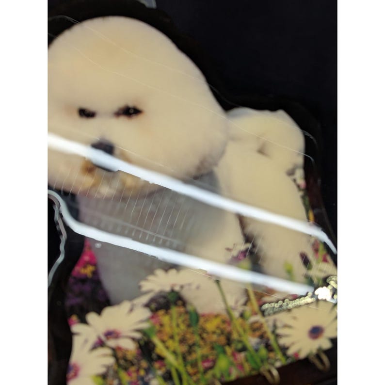 VTG Bichon Frse Wood Plaque Key Holder Wildwood NJ Souvenir New Old Stock immagine 11