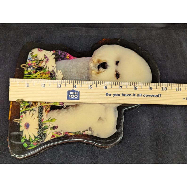 VTG Bichon Frse Wood Plaque Key Holder Wildwood NJ Souvenir New Old Stock immagine 8