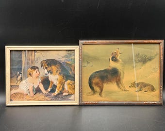 Vintage Dog Collie Framed Photos Cottage Grandma Granny Core Gallery Wall