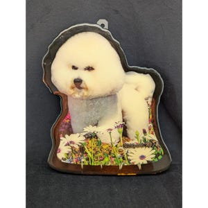 VTG Bichon Frse Wood Plaque Key Holder Wildwood NJ Souvenir New Old Stock immagine 1