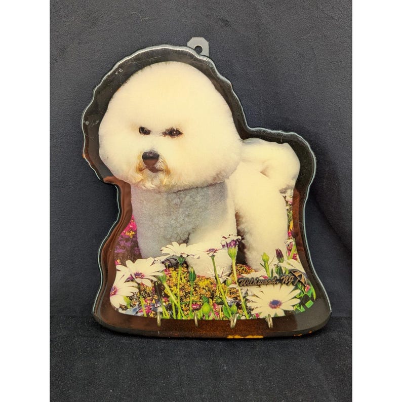 VTG Bichon Frse Wood Plaque Key Holder Wildwood NJ Souvenir New Old Stock immagine 1