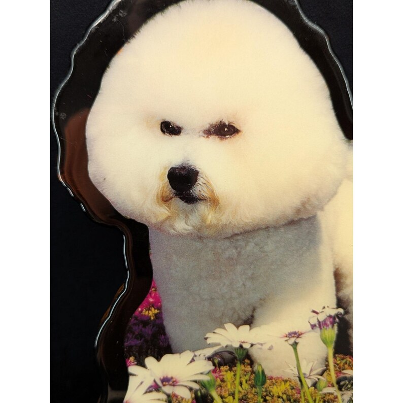 VTG Bichon Frse Wood Plaque Key Holder Wildwood NJ Souvenir New Old Stock immagine 4