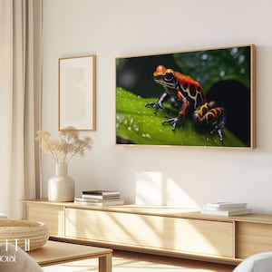 May include: A vibrant orange and black poison dart frog sits on a green leaf. The frog has black spots and stripes. The background is a dark green.