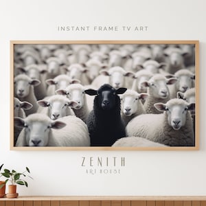 The Black Sheep Photo | Samsung FRAME TV Art, Modern Wall Decor, Humorous Dramatic Bold Black and White Animal Photography, Digital Download