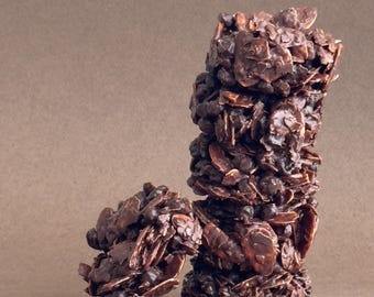 Dark Chocolate Pecan Crunch with Cranberry