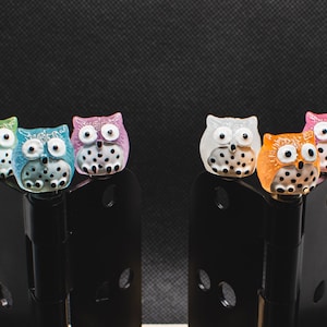 Owls say &quot;Who-Who&quot; Hinge Head (Glow in the Dark)