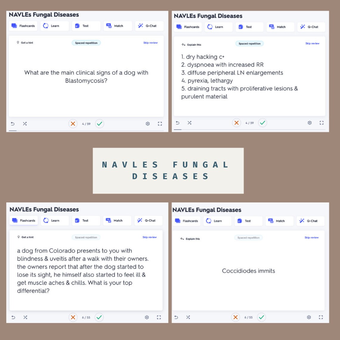 Quizlet FLASHCARD PACKAGE Navles North American Licensing Exam Quizlet Flashcards Etsy