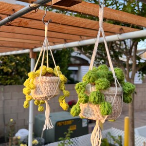 Crochet hanging plant