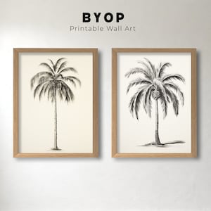 Vintage Palm Tree Sketch, Minimalist Illustration, Nature Sketch, Instant Download