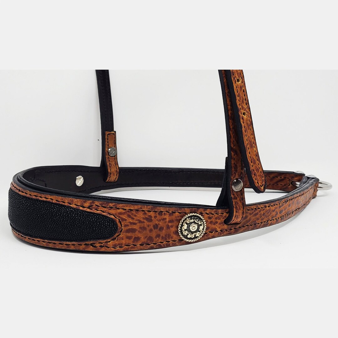 The Custom BD Tie Down Noseband Etsy