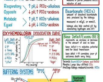 Critical Care Study Guide: CCPC, FPC, CFRN, Flight Paramedic, Flight Nurse Notes (Physical Book)