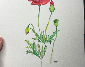 Original hand painted watercolor poppy