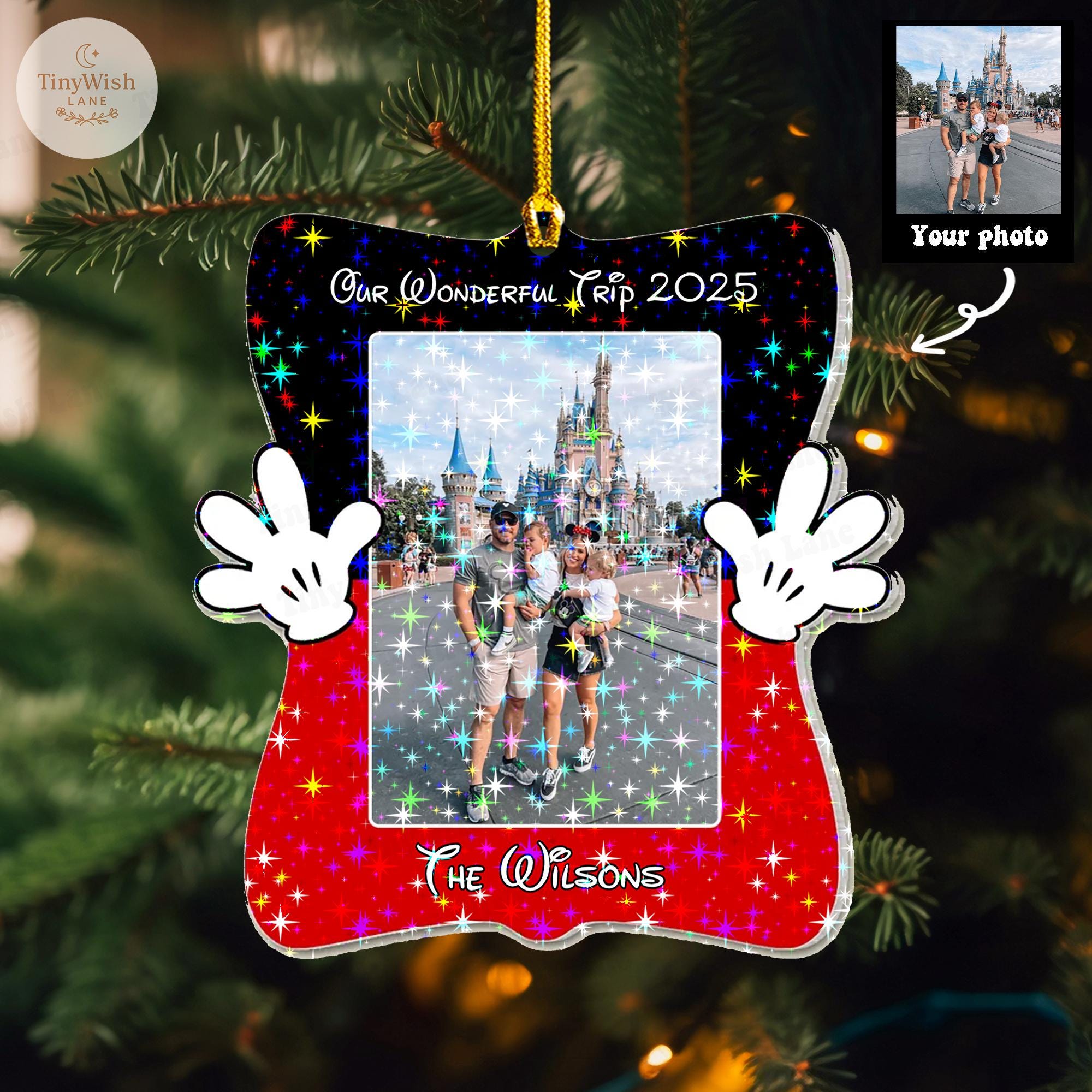 Disneyland Photo Frame 2025 - Etsy