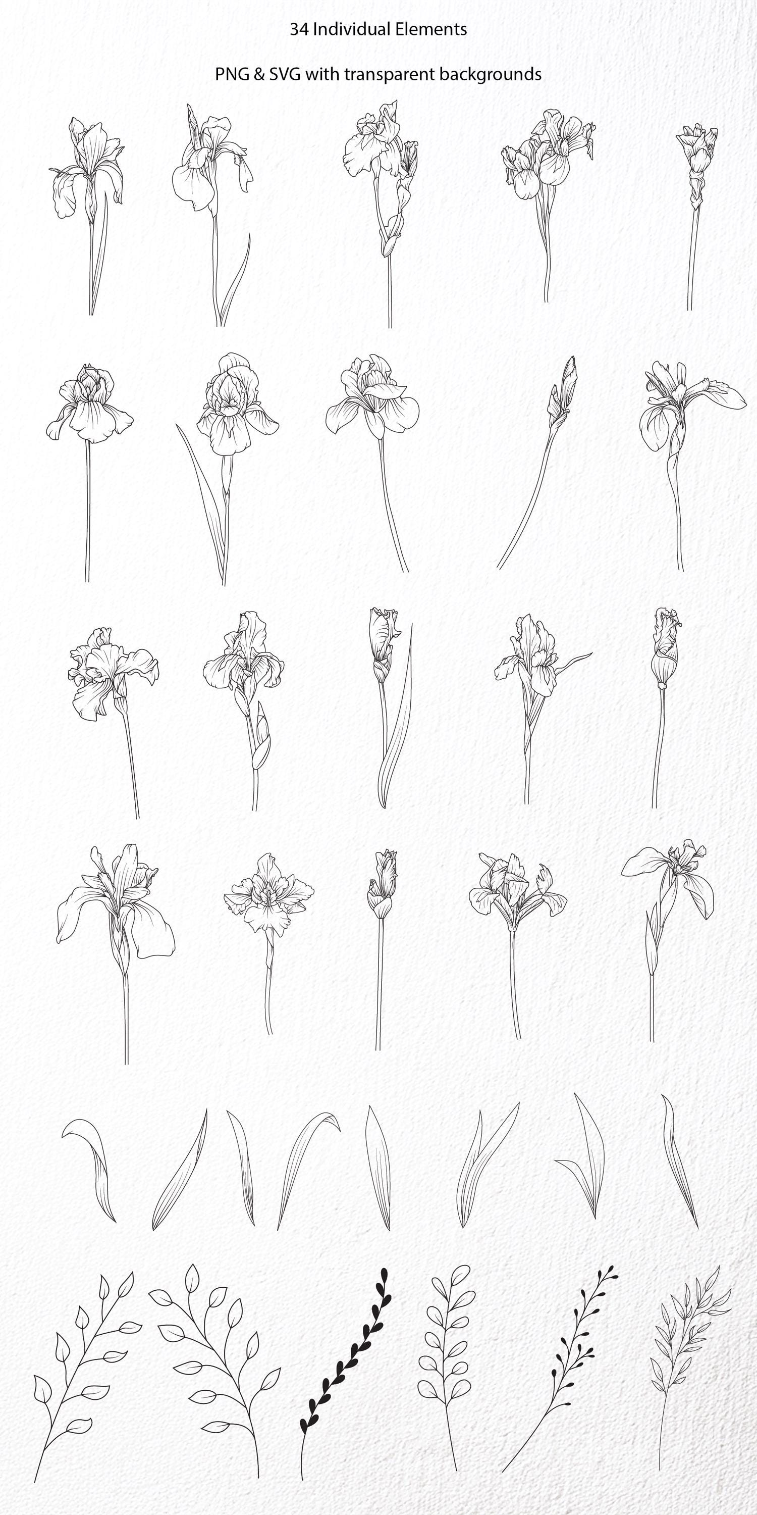 Iris Flower Bundle SVG, Iris Clip Art, Floral Arrangements, Iris Line ...