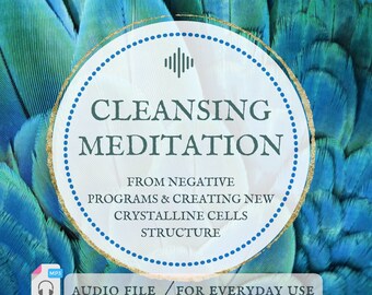 Negative Energy Cleansing Meditation, Raise Vibrations (MP3)