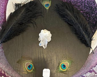 Faden Quartz Crystal Cluster: Afghan Healing Stone for Connection