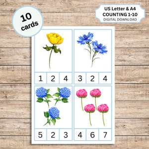 Contagem de flores e cartões de recortes, Contagem de primavera e cartões de recortes, Contagem de 1 a 10, Atividade matemática, Jogo de contagem
