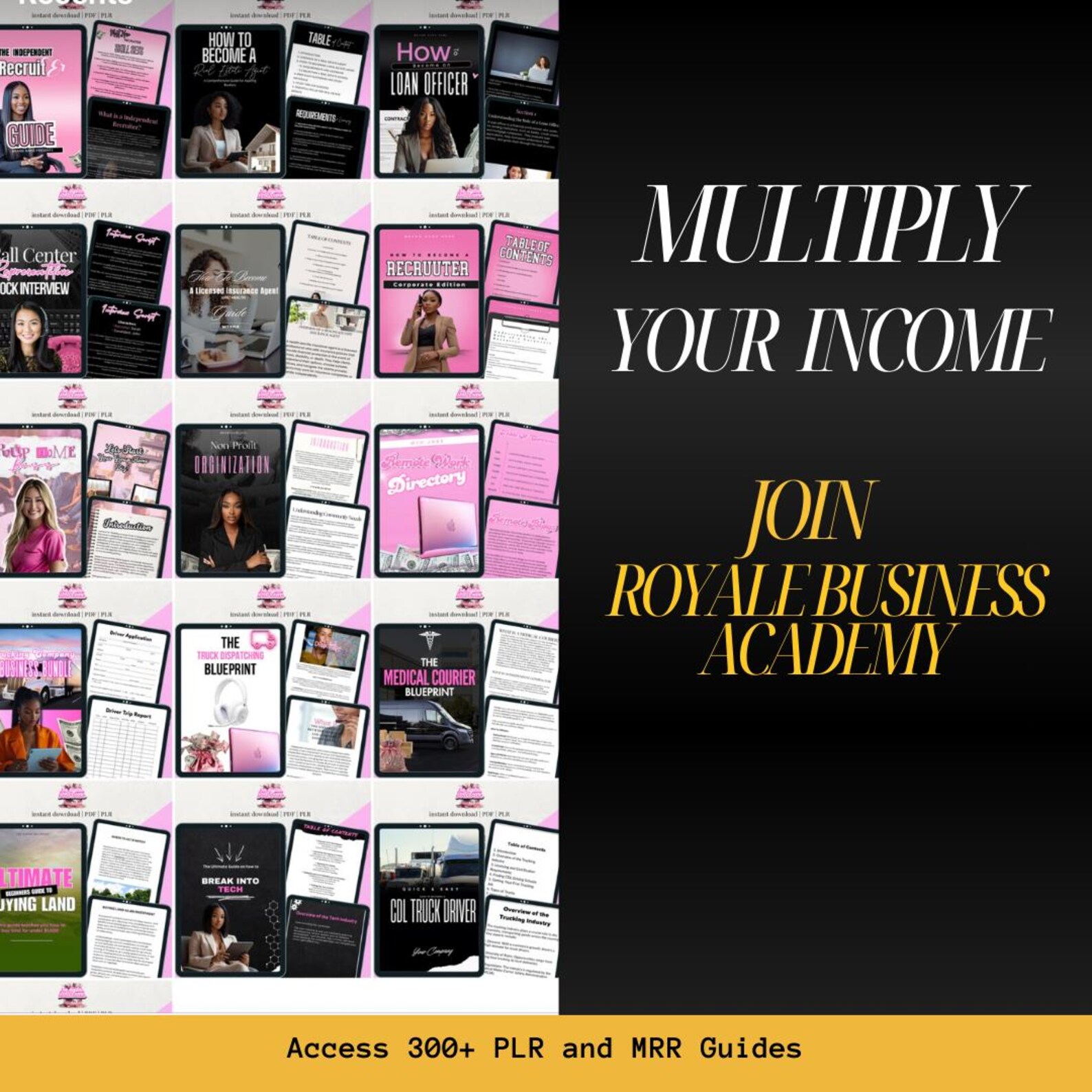 MRR Royale Business Academy,roy Bot, Business Courses,ebook Template ...